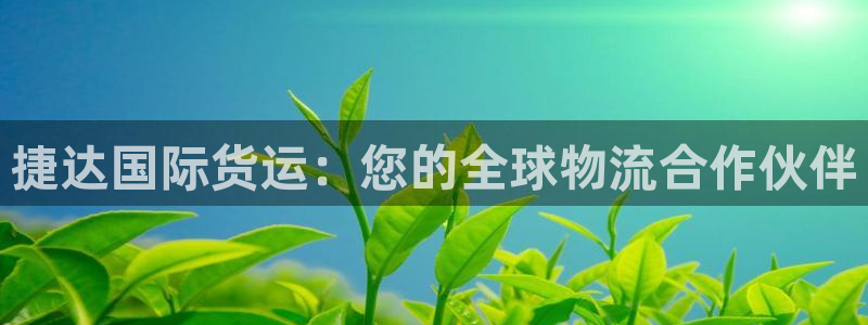 尊龙凯时登陆网址：捷达国际货运：您的全球物流合作伙伴