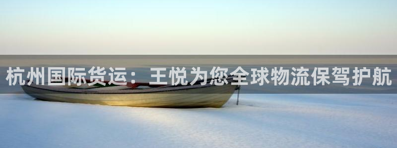 尊龙官网首页：杭州国际货运：王悦为您全球物流保驾护航